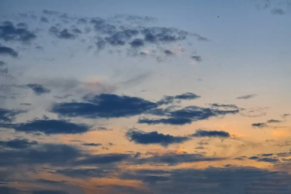 Zomer Avond Hemel Pittoreske Wolken Verlicht Door Stralen Van Ondergaande — Stockfoto