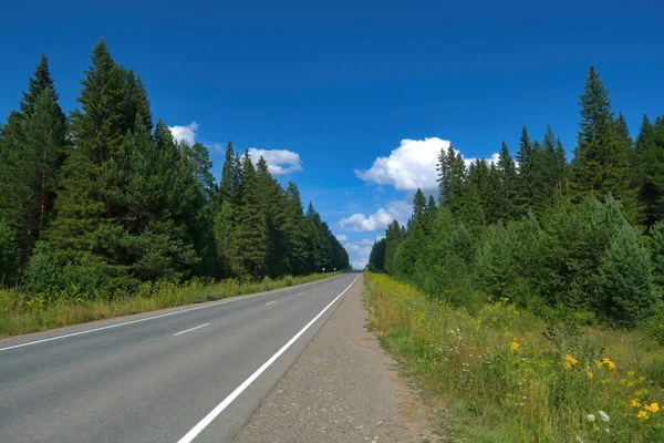 Asfalt Autostrady Otoczeniu Lasów Liściastych Piękny Letni Krajobraz — Zdjęcie stockowe