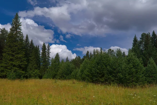 Paesaggio Con Foresta Prato Verde Contro Cielo Blu Nuvole Bianche — Foto Stock