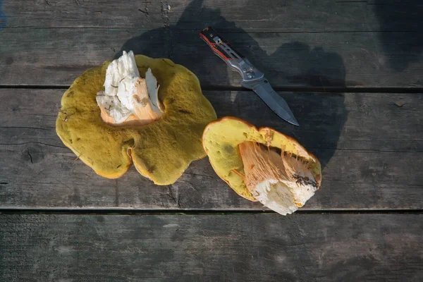 Boletus Edulis Champignons Oude Houten Achtergrond Herfst Cep Mushrooms Gastronomisch — Stockfoto