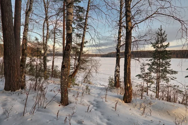 Winter landscape the river in the forest at sunset. Winter sunset rural river landscape.