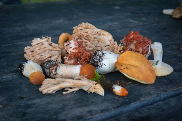 Une variété de champignons forestiers fraîchement cueillis sur le fond d'une vieille table en bois close-up. — Photo