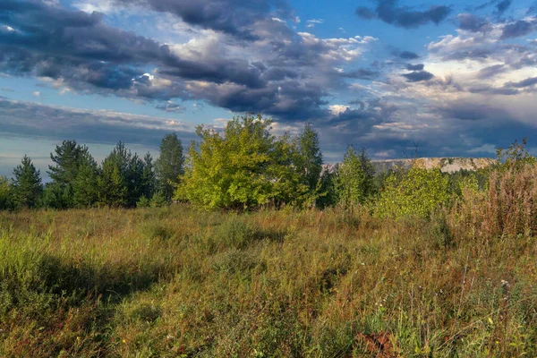 青い空と白い雲に対する森と緑の牧草地と風景 — ストック写真
