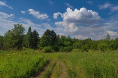 Mavi gökyüzüne ve beyaz bulutlara karşı orman ve yeşil çayır manzarası.