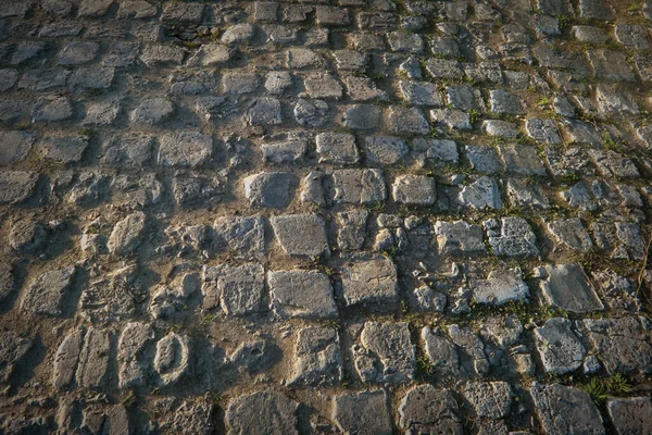 石畳の道の詳細 ブロック間の関節の若い緑の草 大きな茶色の舗装石は石畳の通りを構成します — ストック写真