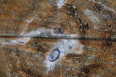 Eski ahşap doku arka planı. Tahta doku, boş ahşap arkaplan.