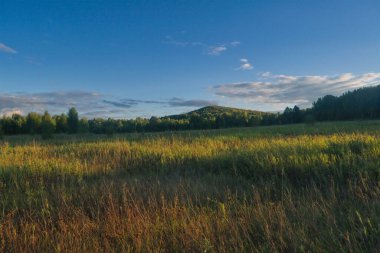 Mavi gökyüzüne ve beyaz bulutlara karşı orman ve yeşil çayır manzarası.