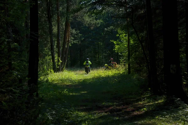 Sportsmen on motorcycles on a summer forest track, rear view.