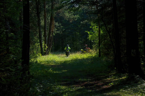 Спортсмены на мотоциклах на летней лесной трассе, вид сзади.