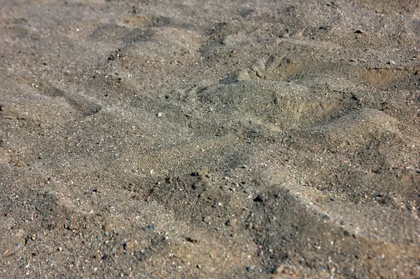Песочный Макро Фото Крупным Планом Естественная Текстура Влажного Песка Крупный — стоковое фото