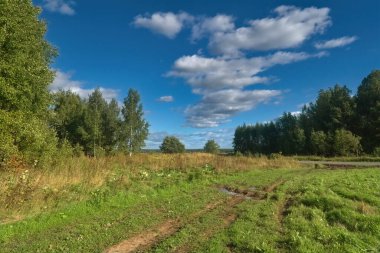 Mavi gökyüzüne ve beyaz bulutlara karşı orman ve yeşil çayır manzarası.