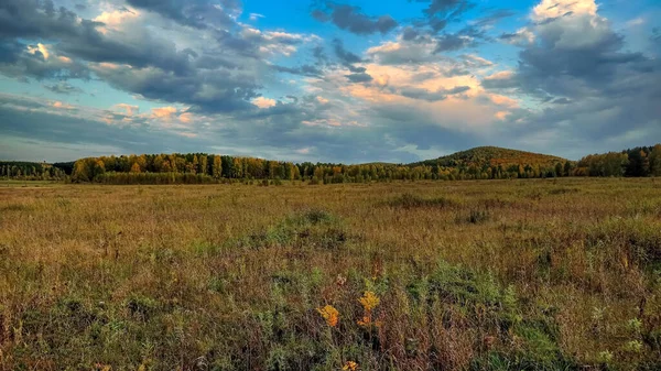 美しい夕日の空を背景に黄色の草と秋の風景の牧草地 その幻想的な色と黄金の秋 — ストック写真