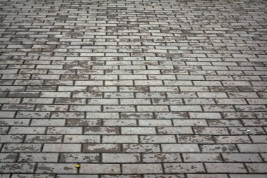 Soyut gri asfalt döşeme dokusu arka planı. Yakın plan. Paving levhaları yakın plan.