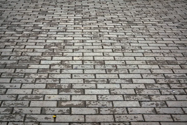 Abstrakt Grå Gatsten Struktur Bakgrund Närbild Stensatta Plattor Närbild — Stockfoto