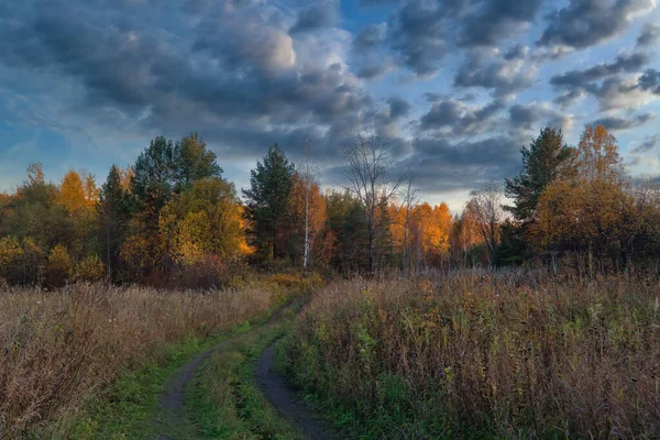 Сельский Пейзаж Косил Луг Фоне Леса Неба Ранняя Осень — стоковое фото