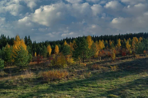 Hermoso Paisaje Otoñal Atardecer Bosque Amarillo Rojo Otoño Naturaleza Paisaje —  Fotos de Stock