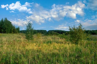 Sonbaharın başlarında dağlarda akşam manzarası gün batımı. Akşamları kırsal arazide gün batımında.