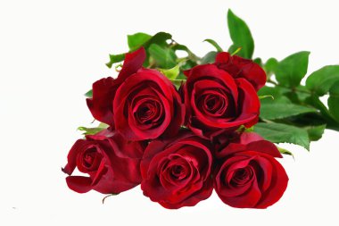 Beş kırmızı gül buketi beyaz arka planda izole edilmiş. Beyaz arka planda izole güller.