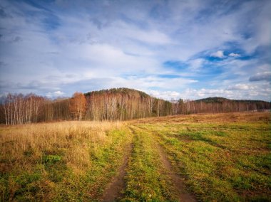 Sonbahar çayırları, orman yapraklarının arka planında sararmış otlar, dağlar ve güzel bir günbatımı gökyüzü. Muhteşem renkleriyle altın sonbahar.