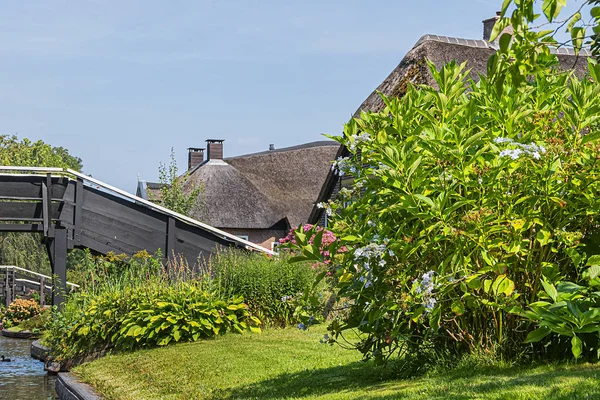 View Famous Typical Dutch Village Giethoorn Netherlands Beautiful Houses Plants — Stock Photo, Image