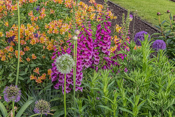 Květiny Veřejnosti Paříž Zahrada Tuileries Park Catherine Medici Vytvořila Zahradu — Stock fotografie