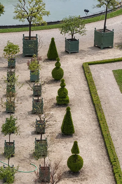 Versailles França Maio 2019 Orangerie Parterre 1684 1686 Palácio Versalhes — Fotografia de Stock