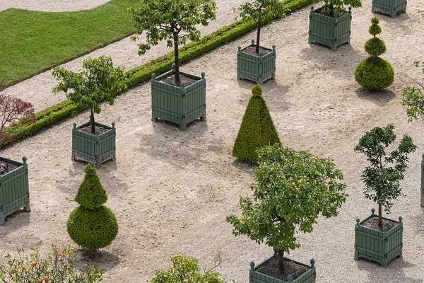 Versailles França Maio 2019 Orangerie Parterre 1684 1686 Palácio Versalhes — Fotografia de Stock