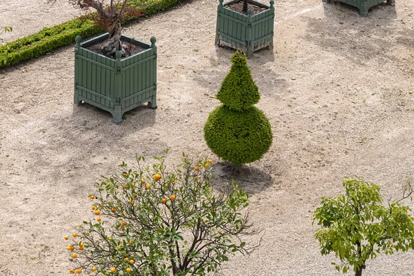 Versailles França Maio 2019 Orangerie Parterre 1684 1686 Palácio Versalhes — Fotografia de Stock