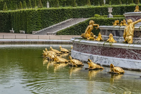 Versailles Francia Maggio 2019 Frammento Della Fontana Latona Nel Palazzo — Foto Stock