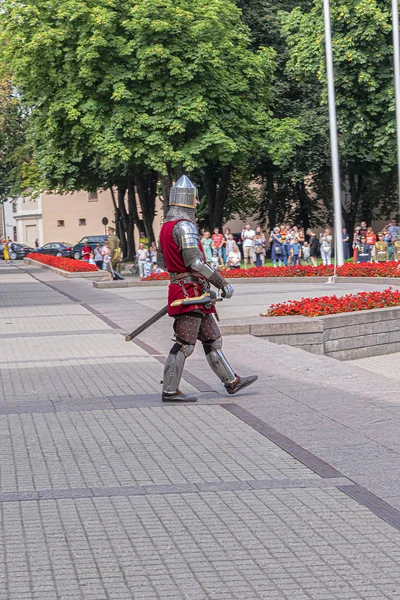 Vilnius Lituânia Julho 2019 Levantando Bandeiras Lituânia União Europeia Otan — Fotografia de Stock