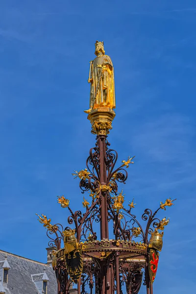 Fontanna 1885 Binnenhof Cześć Hrabiego Williama Holandii Centrum Miasta Den — Zdjęcie stockowe