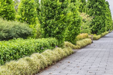Paris Parc Andre Citroen - Seine nehrinin sol kıyısında bir halk parkı. Paris, Fransa.