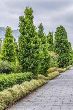 Paris Parc Andre Citroen - Seine nehrinin sol kıyısında bir halk parkı. Paris, Fransa.