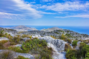 Masa Dağı 'nın tepesinde. Table Dağı, Cape Town 'a bakan Güney Afrika' nın en ikonik simgesidir. Cape Town Güney Afrika.