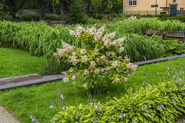 Bernadinská Zahrada Bernardinu Sodas Krásná Zahrada Litevském Hlavním Městě Vilniusu — Stock fotografie