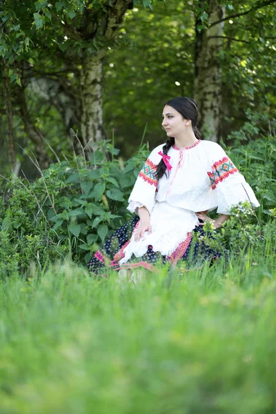 Folklore Eslovaco Bailarina Folclórica Eslovaca — Foto de Stock