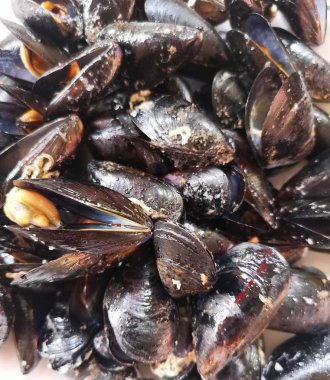 Taze deniz ürünlerini kapatın.