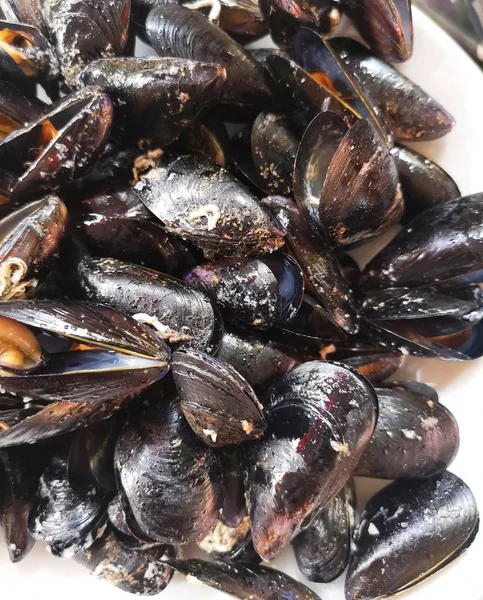 Seafood Mussels White Background — Stockfoto