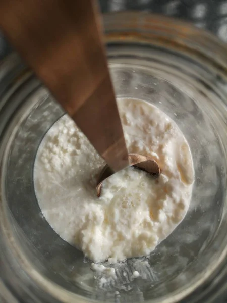 Grani Kefir Latte Probiotico Biologico Funghi Tibetani Cucchiaio Legno Latte — Foto Stock