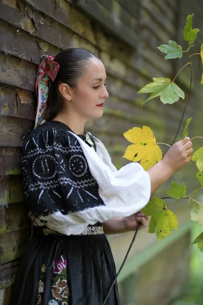 Joven Mujer Eslovaca Hermosa Traje Tradicional Retrato Otoño —  Fotos de Stock