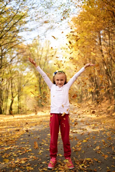 Gyönyörű Lány Koszorúban Játszik Levelekkel Őszi Parkban — Stock Fotó