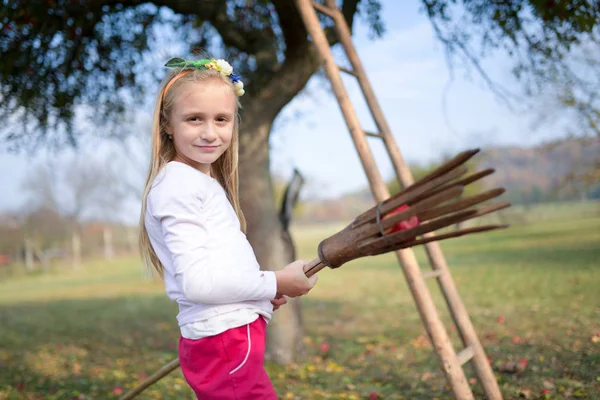 Молода Дівчина Збирає Червоні Яблука Саду — стокове фото