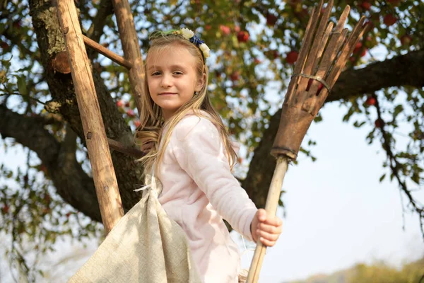 Young Girl Picking Red Apples Orchard — Stockfoto