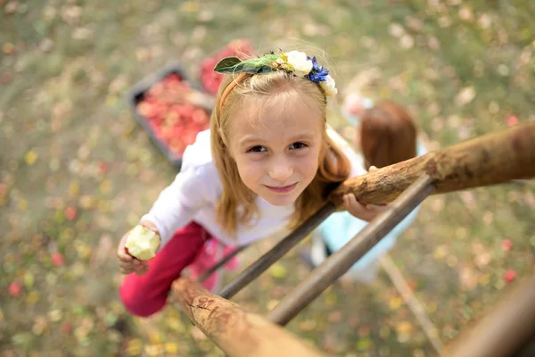 Молода Дівчина Збирає Червоні Яблука Саду — стокове фото