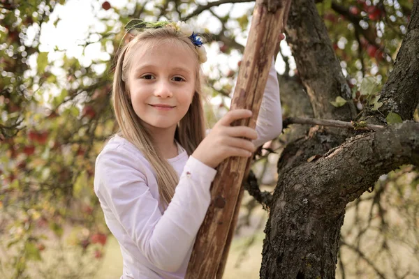 Jeune Fille Cueillette Des Pommes Rouges Dans Verger — Photo