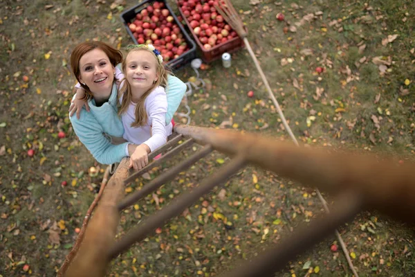 Mother Daughter Picking Red Apples Orchard — ストック写真