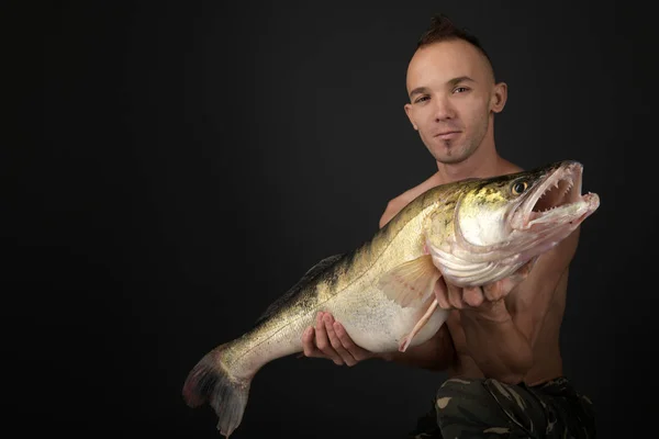 Fishing Fisherman Trophy Zander — Stock Photo, Image