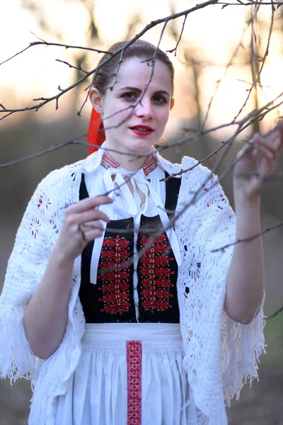 Młoda Piękna Słowianka Tradycyjnej Sukience Słowacki Folklor — Zdjęcie stockowe