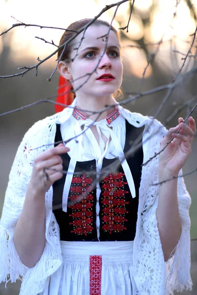 Jonge Mooie Slovak Vrouw Traditionele Jurk Slowaakse Folklore — Stockfoto