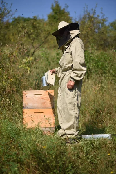 ミツバチと農場の養蜂家 — ストック写真